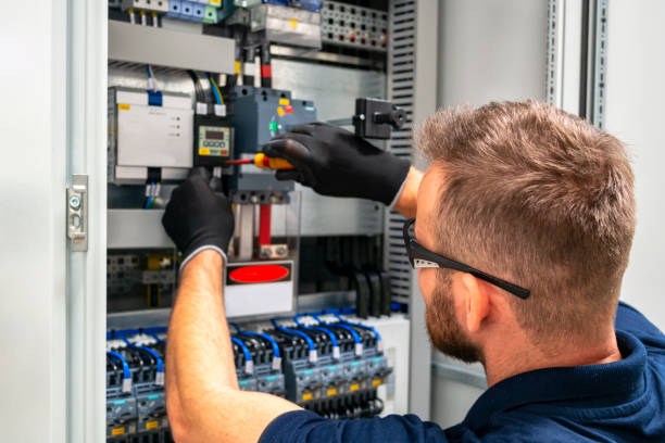 Best Electrical Outlet Repair  in Palo, IA