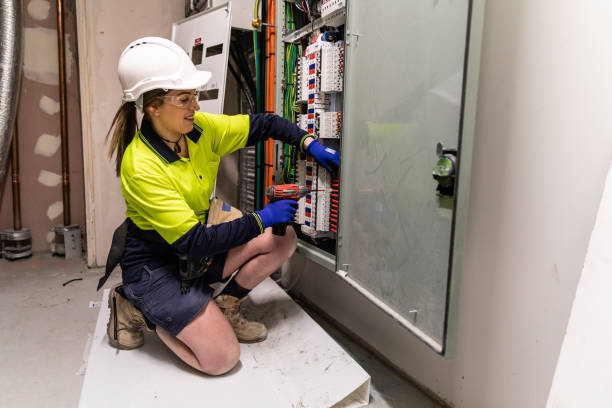Best Electrical System Inspection  in Palo, IA